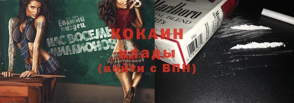 ПСИЛОЦИБИНОВЫЕ ГРИБЫ Абаза