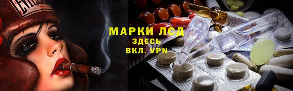 прущие грибы Абинск