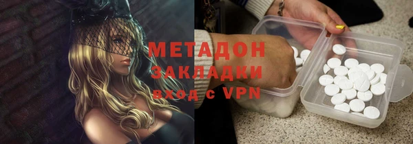 прущие грибы Абинск