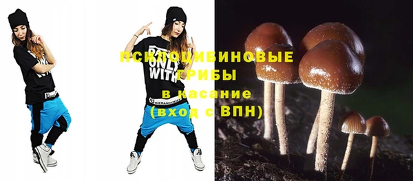 спиды Алексин