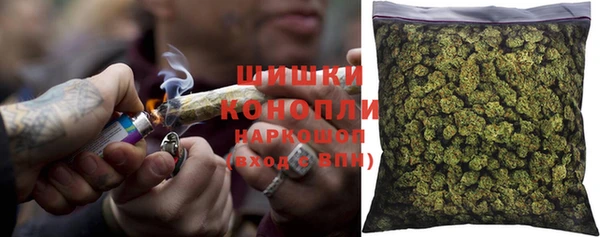 прущие грибы Абинск