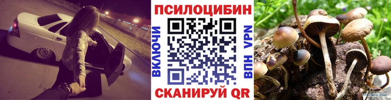 Псилоцибиновые грибы MAGIC MUSHROOMS Бирюсинск